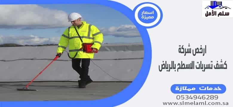 ارخص شركة كشف تسربات الاسطح بالرياض